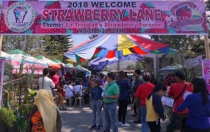 <p>The strawberry lane where various products made of berry are sold sets up a festive mood as the 37th Strawberry Festival in Benguet’s capital town La Trinidad opens on Friday (March 9, 2018). <em>(Photo by Primo Agatep)</em></p>